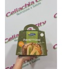 PIACERI MEDITERRANEI PANETTONE AL PISTACCHIO 750G