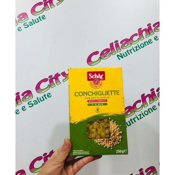 conchiglitte